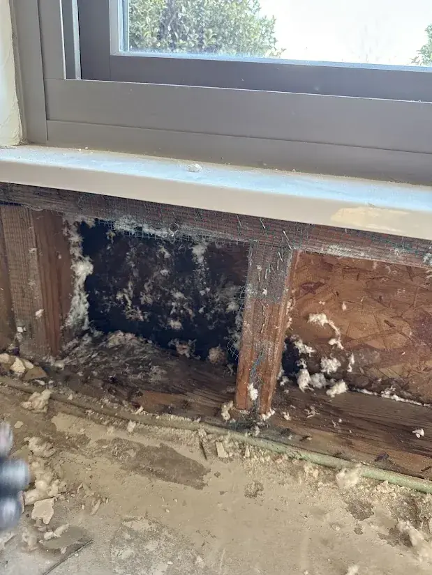 Air movers drying a room down to the studs in a Miami, FL home